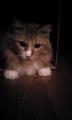 5_20120919172352.jpg