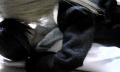 6_20120609215310.jpg