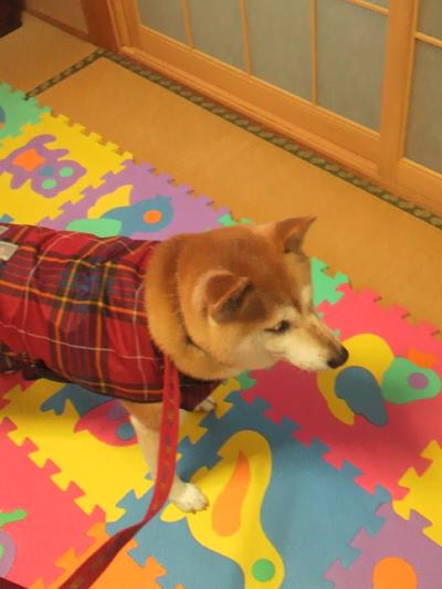 だらだら6