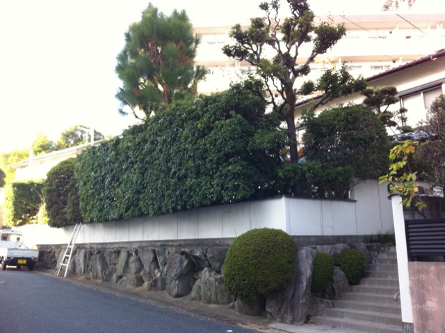 福岡 剪定業者