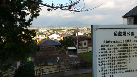 南区柏原東公園