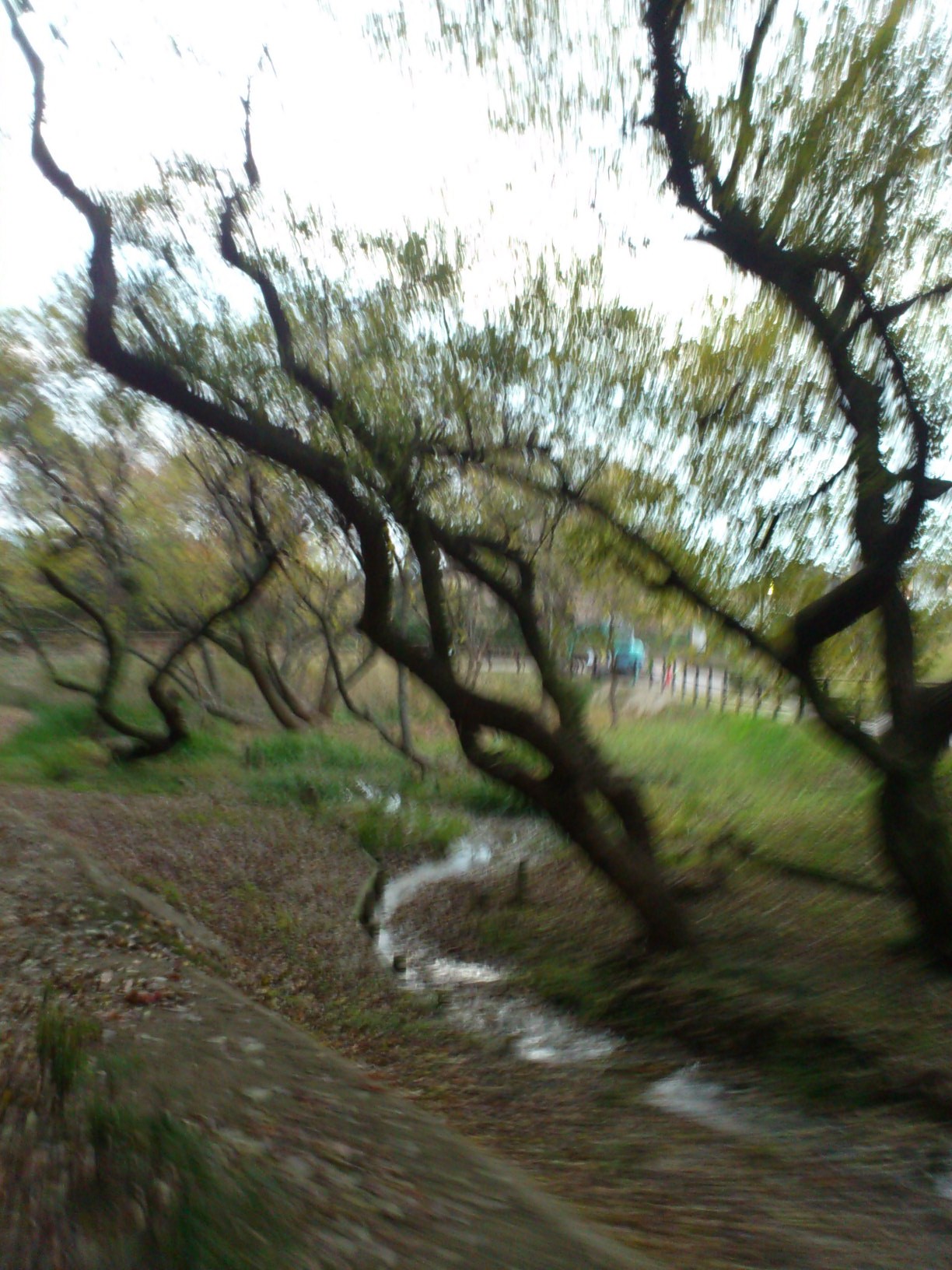 福岡 造園 植木屋