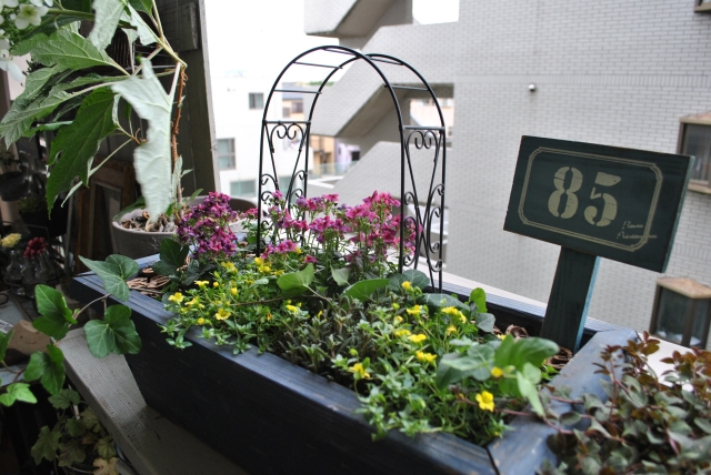 2013060202.jpg