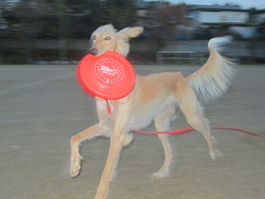 100_20130517231415.jpg