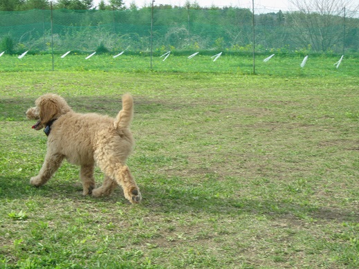 107_20130518213333.jpg