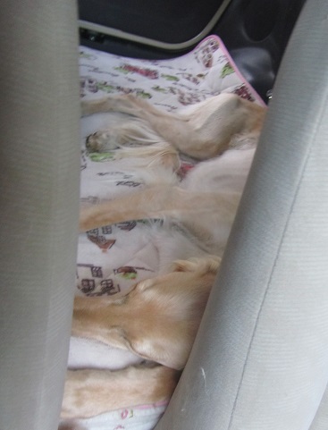 108_20130518213335.jpg