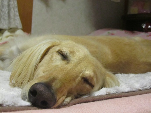 111_20130419230946.jpg