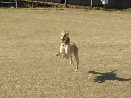 113_20130420212246.jpg