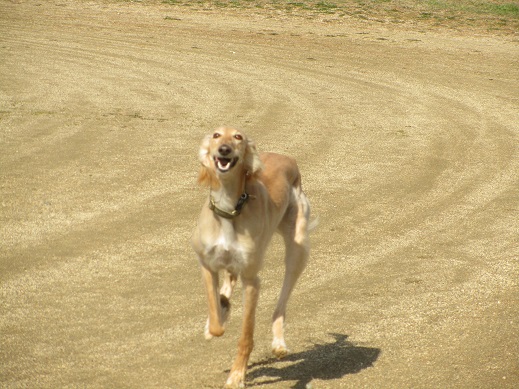 114_20130420212336.jpg