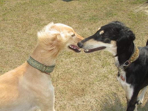 11_20130508231737.jpg