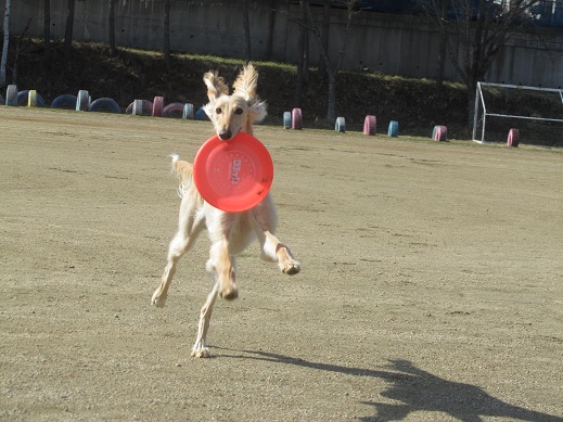 121_20130420213318.jpg