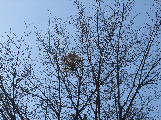 125_20130420214241.jpg