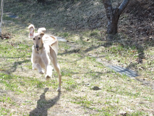 126_20130420214400.jpg