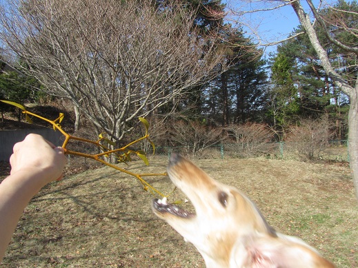 127_20130420214428.jpg