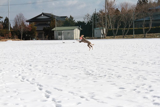12_201401262135515cc.jpg