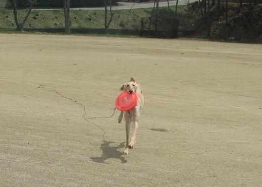 155_20130427183018.jpg