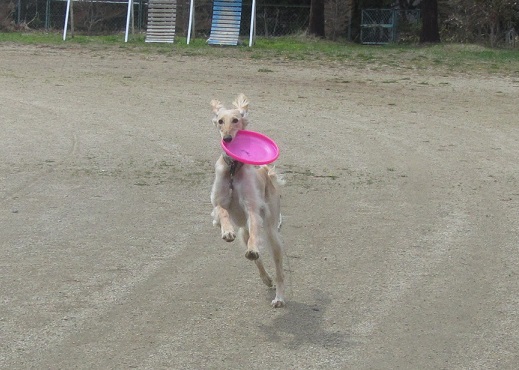 157_20130427183026.jpg