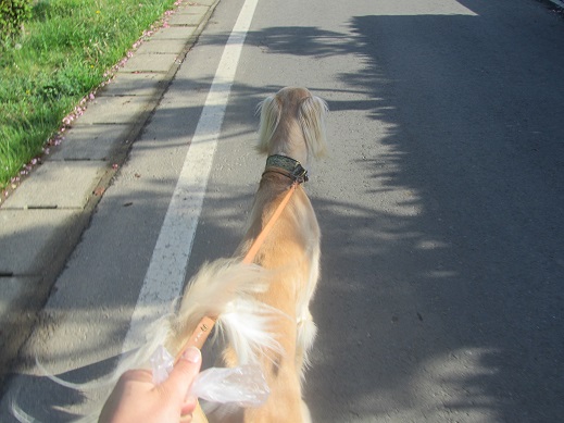 157_20130531210425.jpg