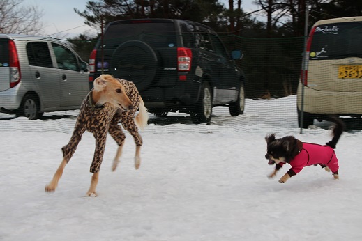 15_20140202213131b64.jpg