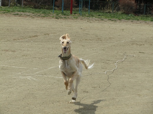 162_20130427194254.jpg