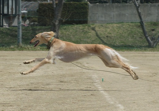 163_20130427194258.jpg