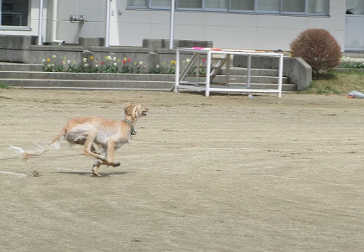 164_20130427194302.jpg