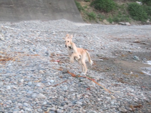 165_20130531210713.jpg