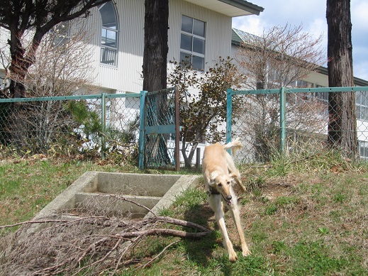 173_20130427194531.jpg