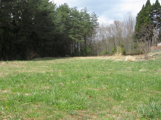 174_20130427194535.jpg