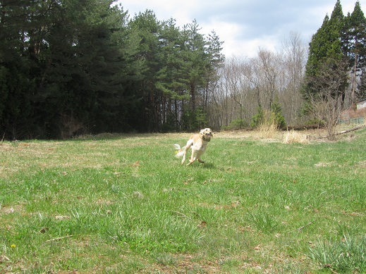 175_20130427194606.jpg