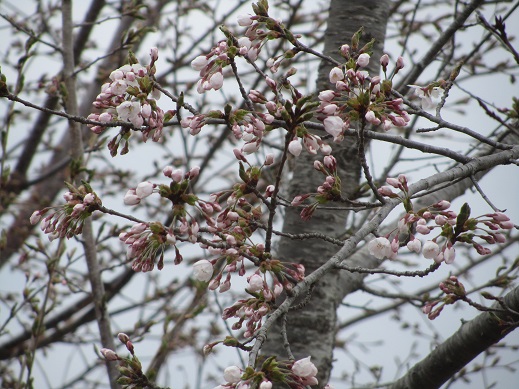 178_20130427194620.jpg