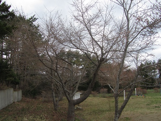 179_20130427194625.jpg