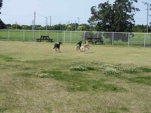 17_20130508231902.jpg