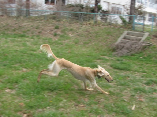 180_20130427194703.jpg