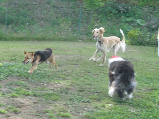 18_20130602211658.jpg