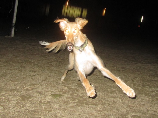 19_20130404225053.jpg