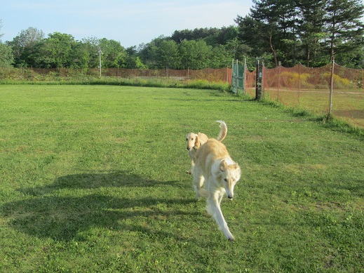 19_20130602211707.jpg