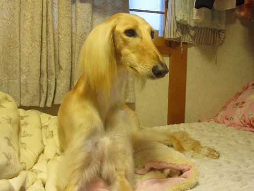 1_20130501173214.jpg
