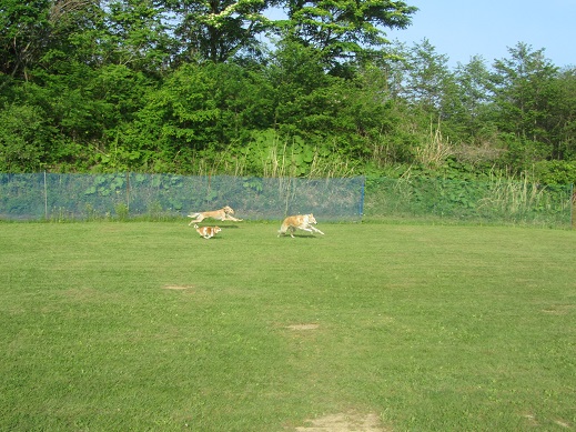 20_20130602211715.jpg