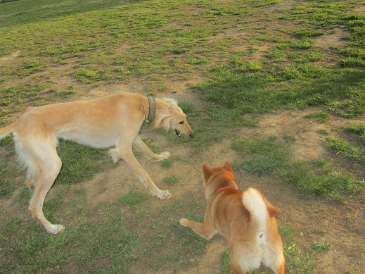 23_20130602211823.jpg