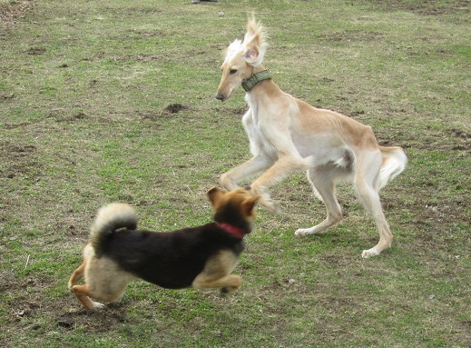 24_20130407213620.jpg