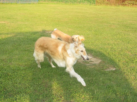 24_20130602211837.jpg