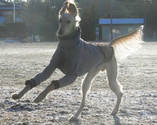 251_20130326224231.jpg