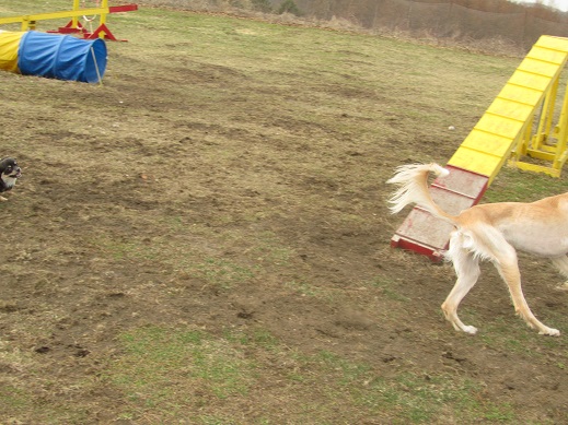 25_20130407213630.jpg