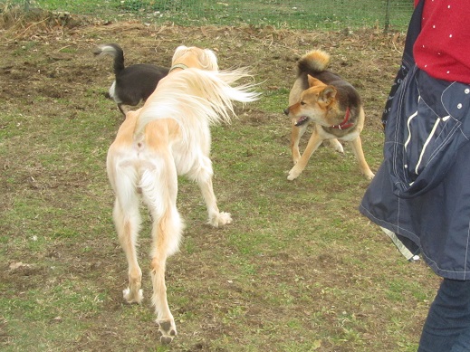 26_20130407213634.jpg