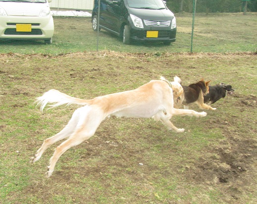 27_20130407213639.jpg