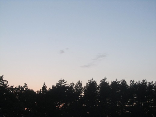 28_20130603221213.jpg