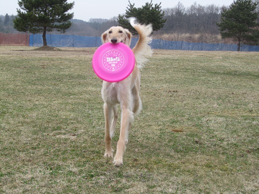 29_20130407213739.jpg