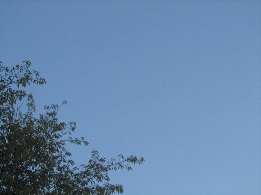 29_20130603221216.jpg