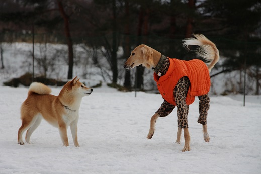 2_20140202212917fa3.jpg